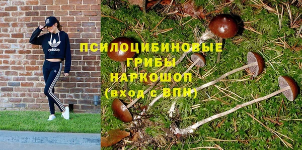 мдма Медвежьегорск