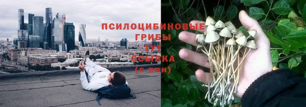 крисы Богородицк