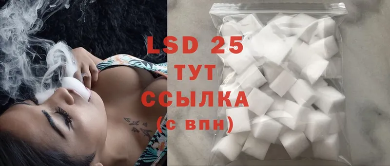 блэк спрут онион  Жердевка  LSD-25 экстази кислота  закладки 