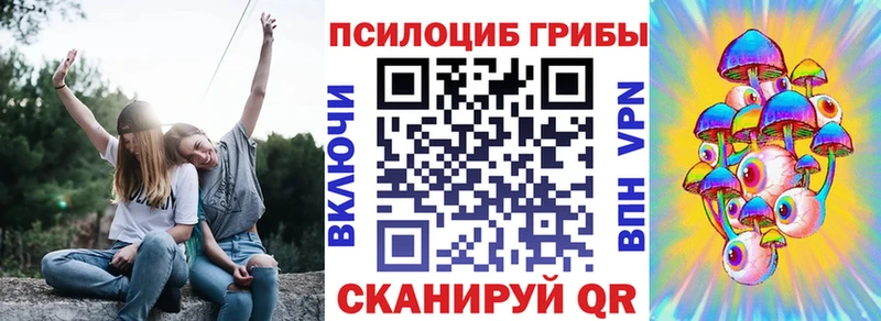 Галлюциногенные грибы прущие грибы  Жердевка 