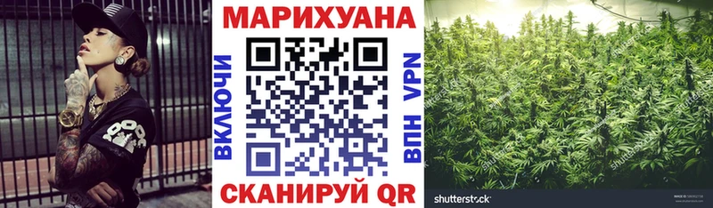 купить наркотики цена  Жердевка  Канабис OG Kush 